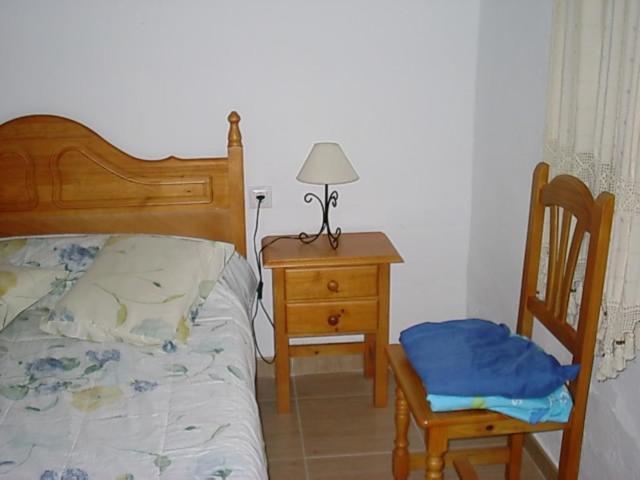 Olivo 6
